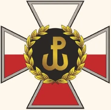 Jak przystąpić do WOT? Kluczowe wymagania i kroki do zostania żołnierzem zawodowym