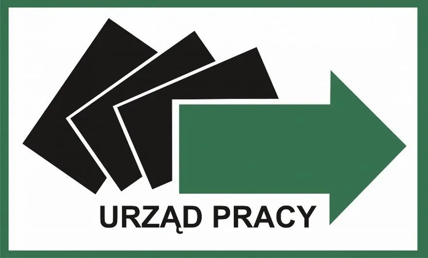 Jak zweryfikować swoje zatrudnienie i uniknąć błędów w danych?