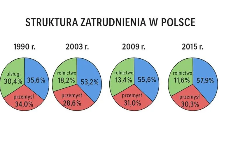 Zrozumienie struktury zatrudnienia i jej wpływ na rozwój gospodarki