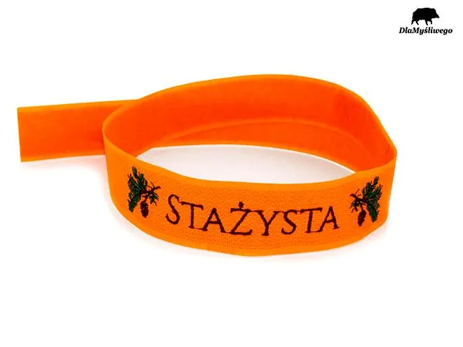 Korzyści ze stażu