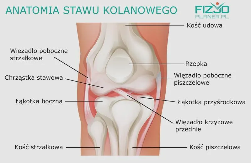 Metody leczenia kolana
