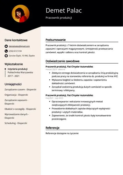 Opis pracy zawodowej