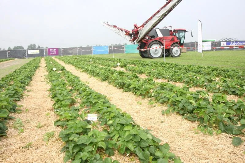 Porównanie zarobków Holandia vs Polska