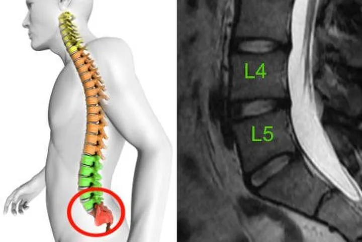 Prawa i obowiązki pracownika na L4