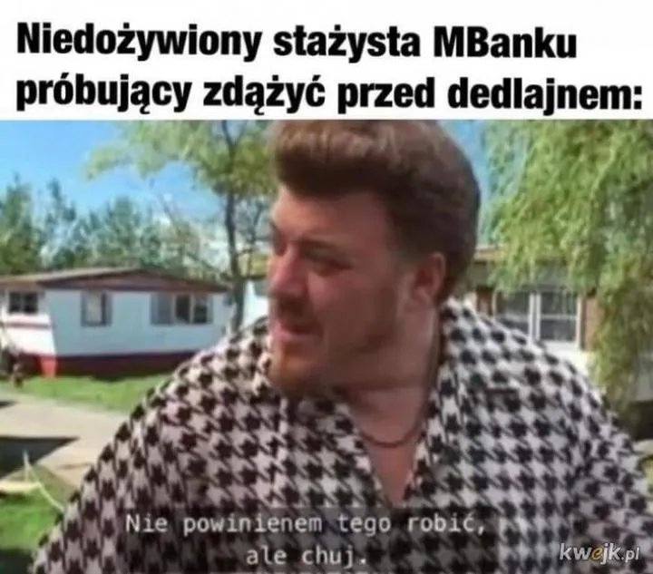 Rekrutacja stażystów