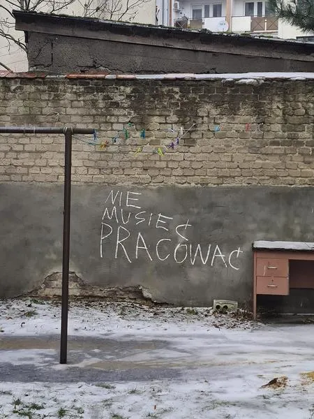 Ścieżki kariery po stażu