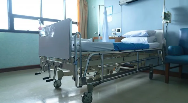 Staż i zatrudnienie