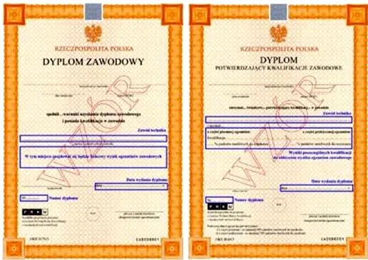 Umiejętności w CV