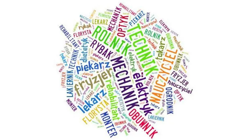 Wpływ doradztwa na wybory zawodowe uczniów