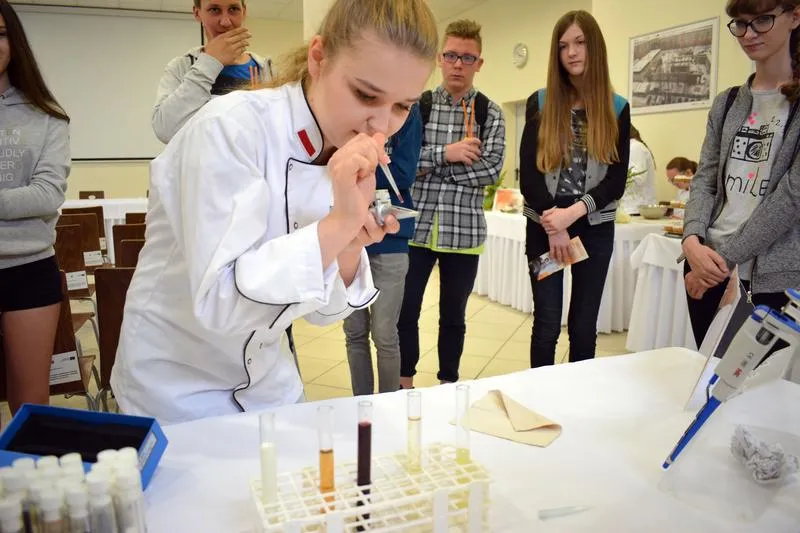 Wybór ścieżki edukacyjnej i kwalifikacje zawodowe