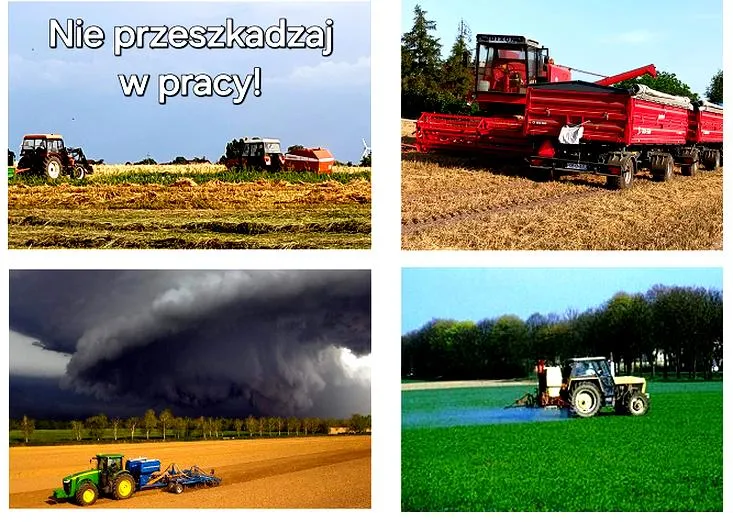 Zatrudnienie w rolnictwie